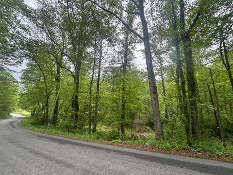 Vacant Land For Sale - Timberview Rd<br/> Roanoke, VA 24019