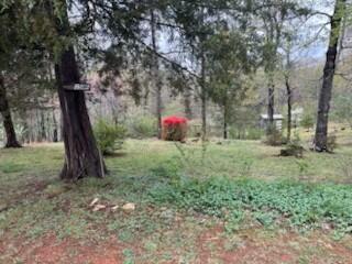 1548 Russell Dr, Moneta, Virginia image 1