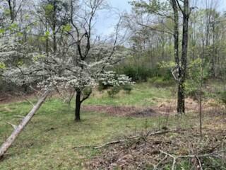 1548 Russell Dr, Moneta, Virginia image 6