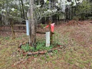1548 Russell Dr, Moneta, Virginia image 3
