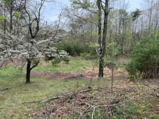 1548 Russell Dr, Moneta, Virginia image 7