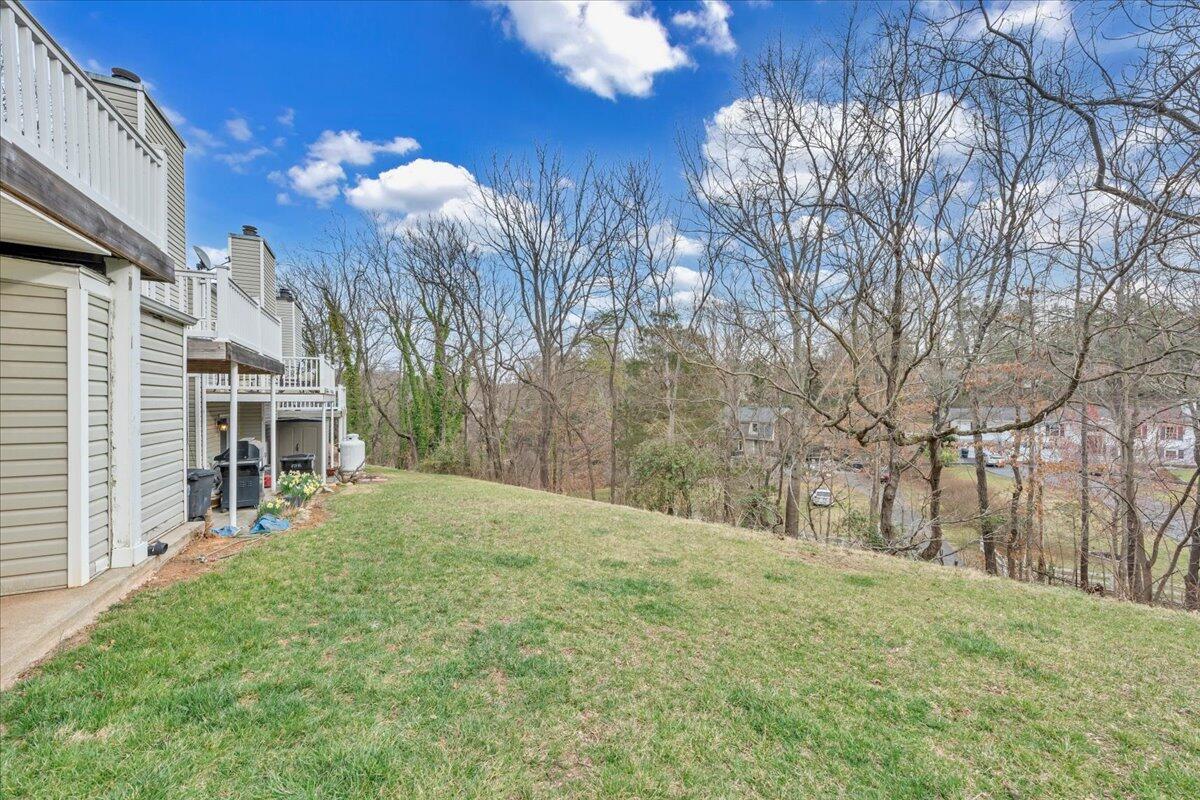 3012 Winterberry Dr, Roanoke, Virginia image 30