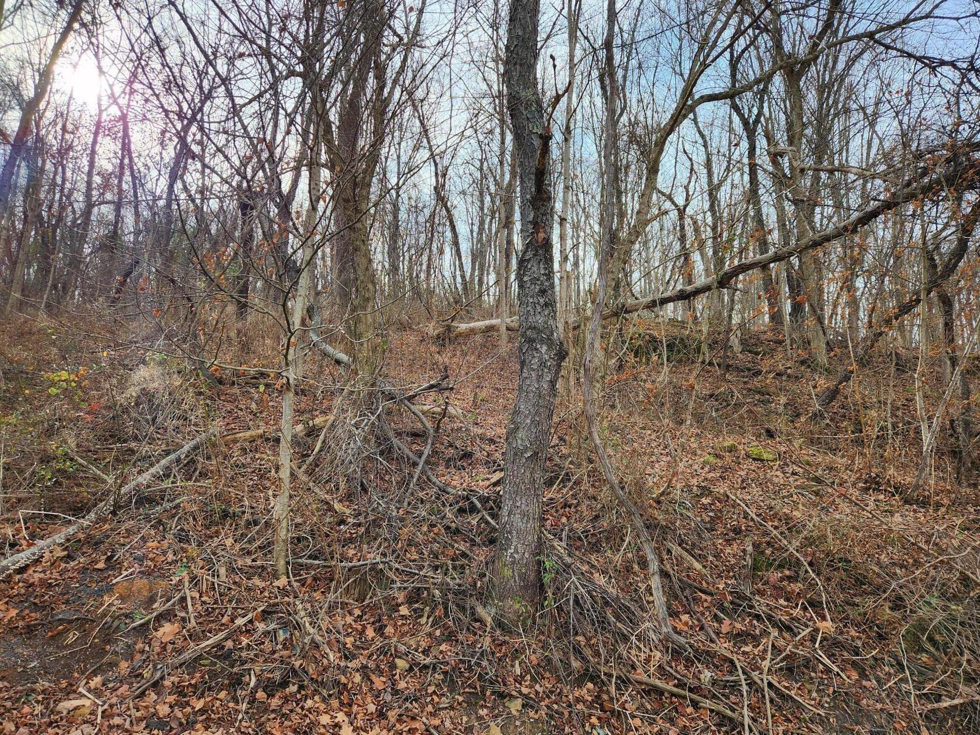Parklin Dr, Covington, Virginia image 3