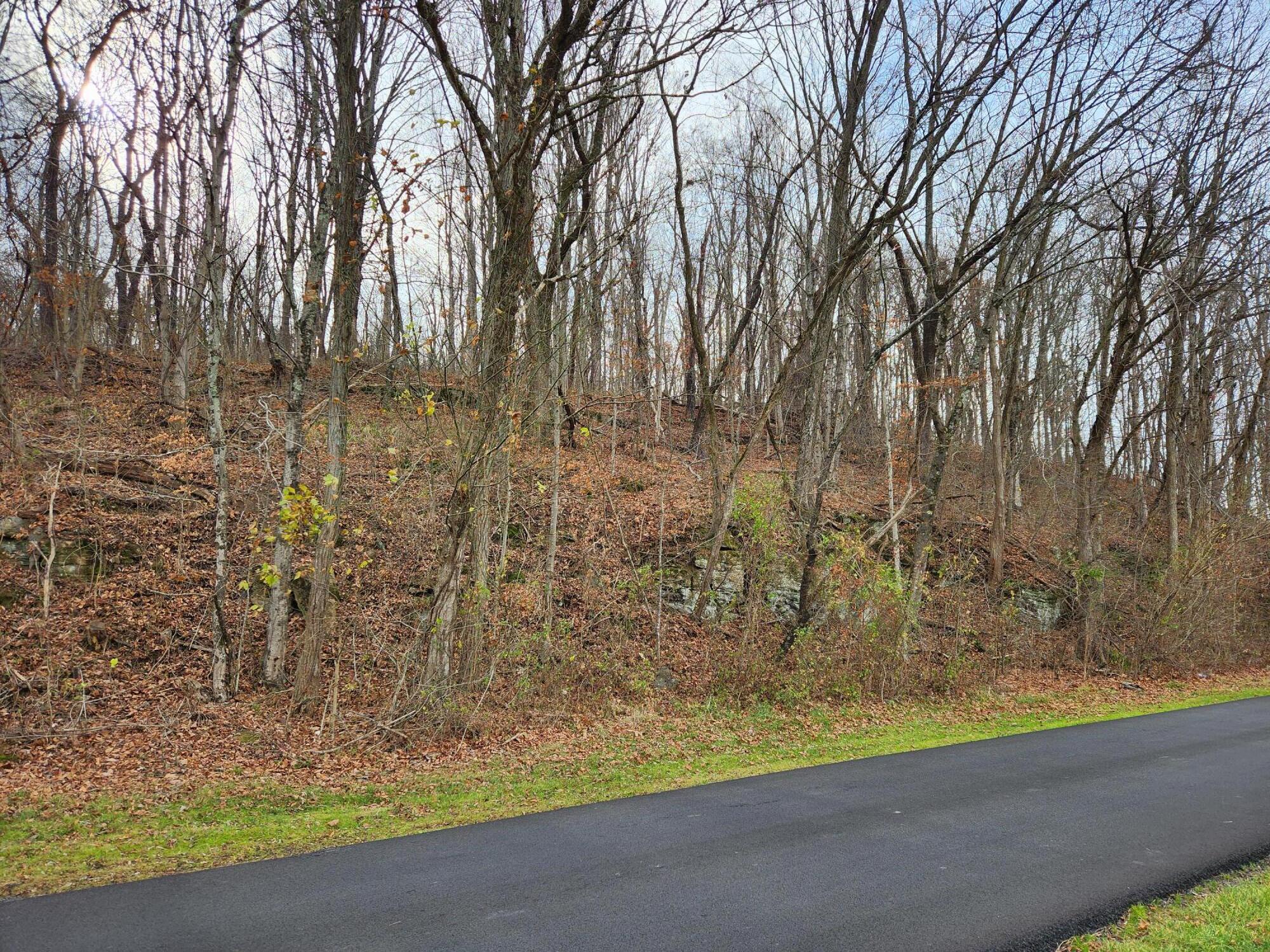 Parklin Dr, Covington, Virginia image 4