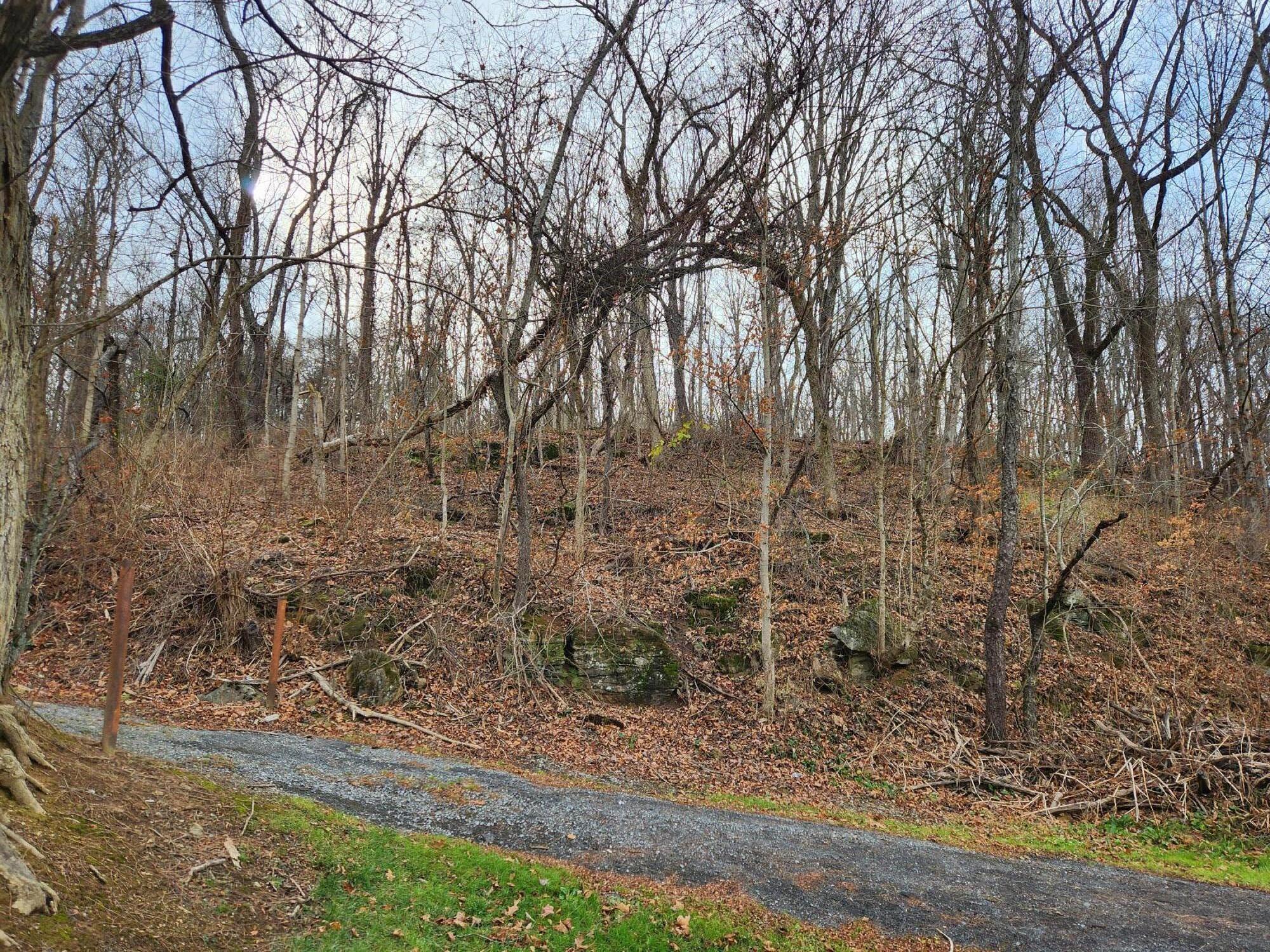 Parklin Dr, Covington, Virginia image 1