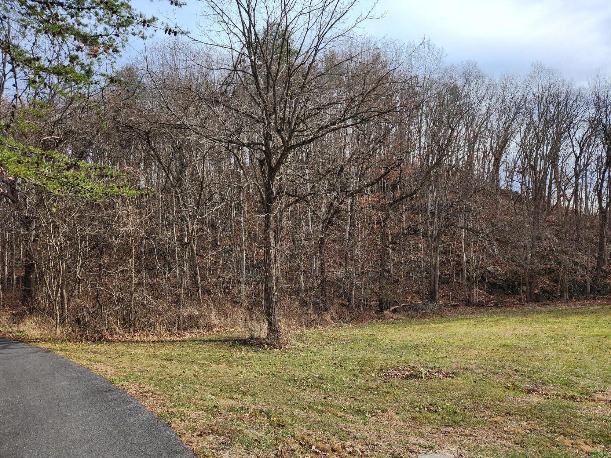 Parklin Dr, Covington, Virginia image 5