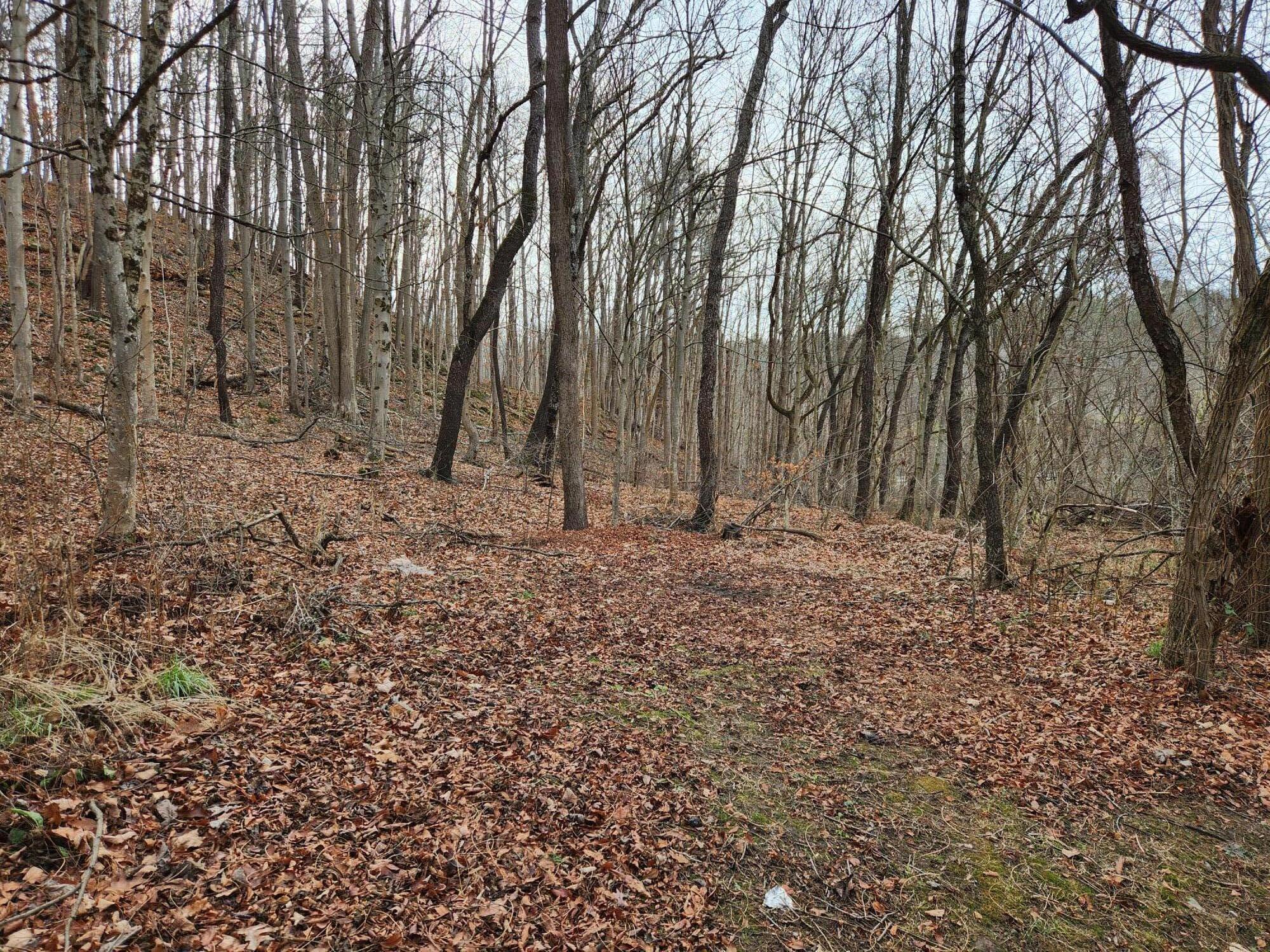 Parklin Dr, Covington, Virginia image 6