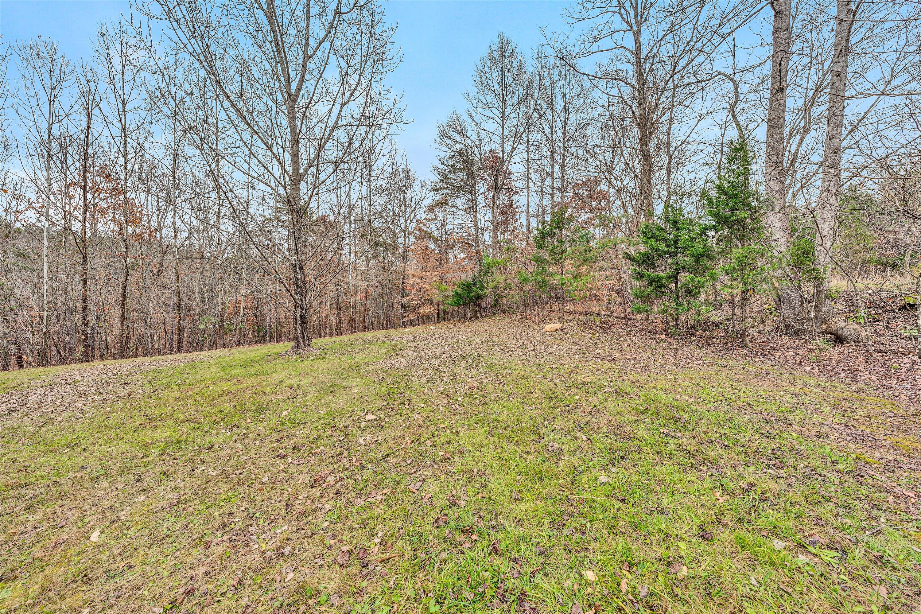 1045 Tarragon Way, Moneta, Virginia image 30