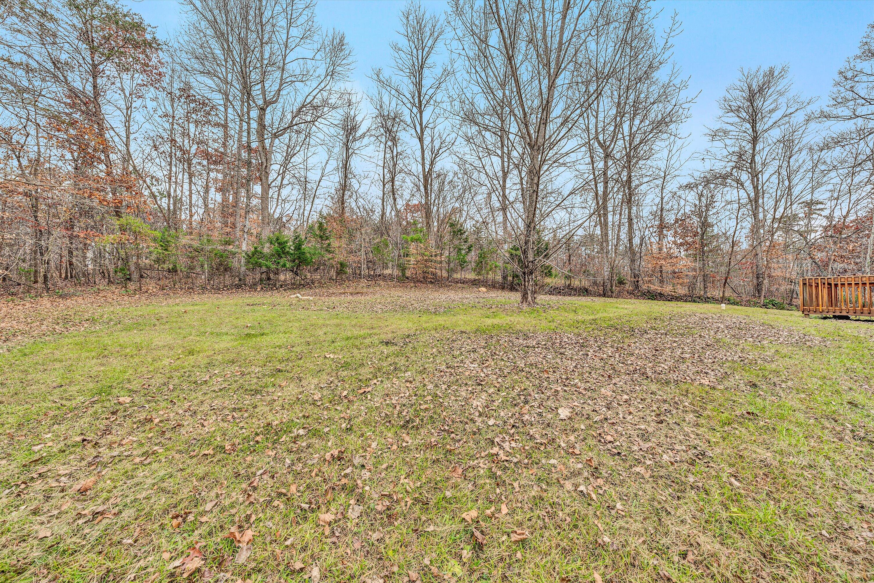 1045 Tarragon Way, Moneta, Virginia image 33