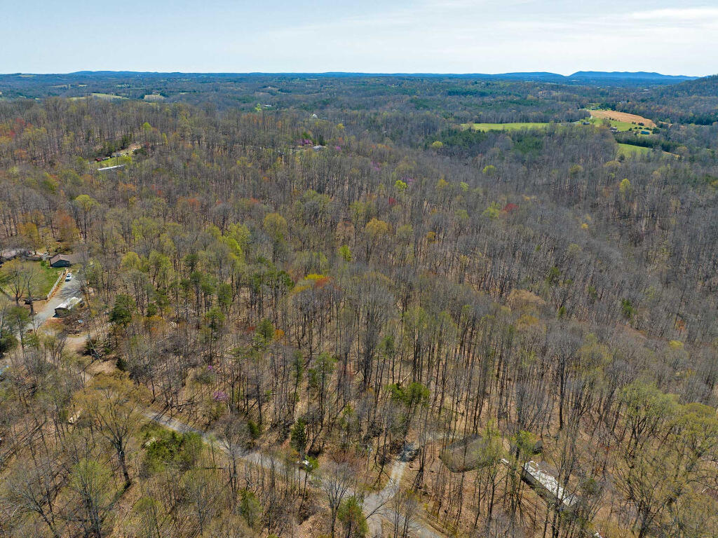 Lot 9 Oak Dr, Moneta, Virginia image 1