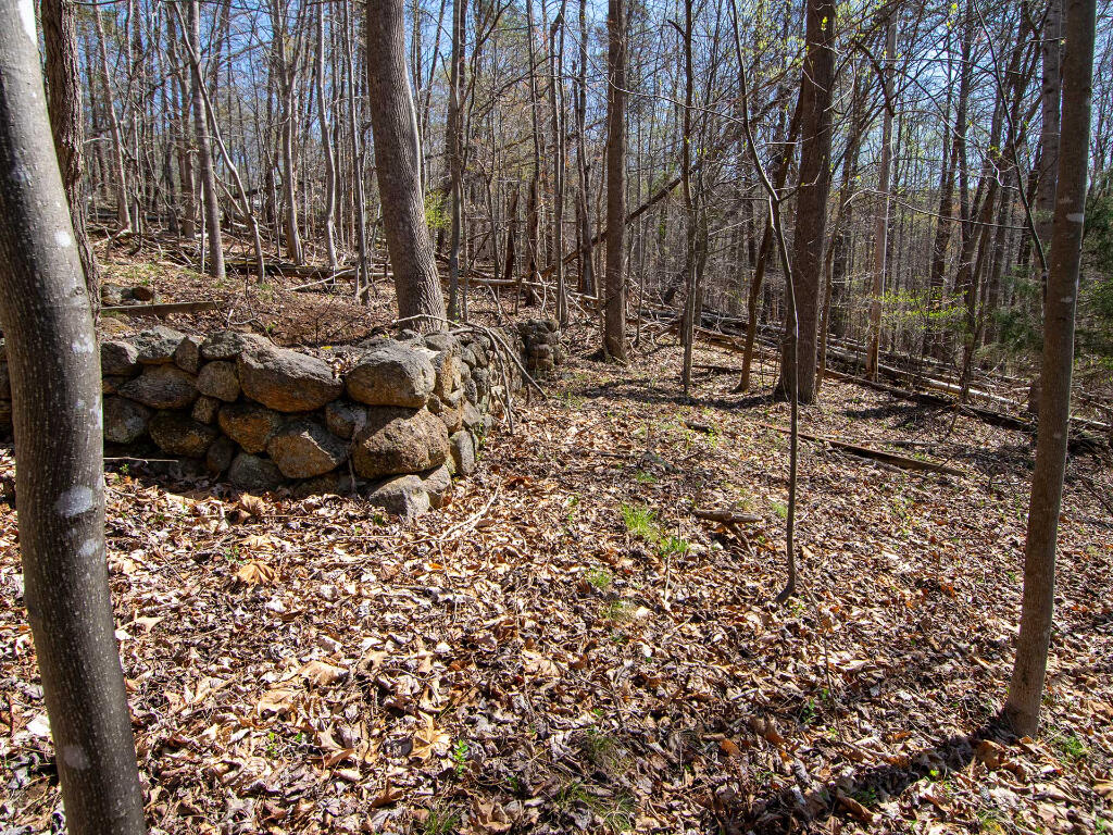 Lot 9 Oak Dr, Moneta, Virginia image 12
