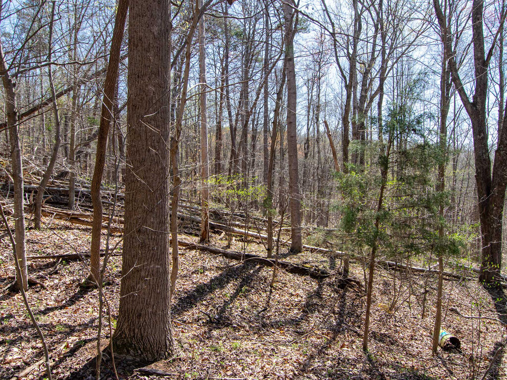 Lot 9 Oak Dr, Moneta, Virginia image 14