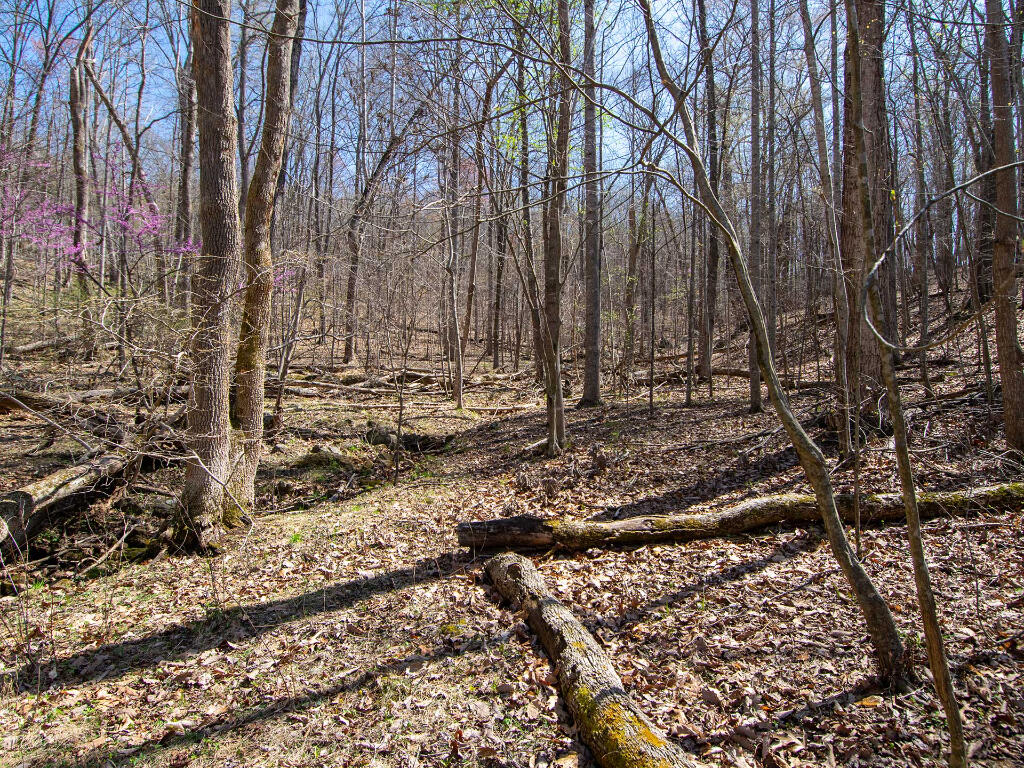 Lot 9 Oak Dr, Moneta, Virginia image 18