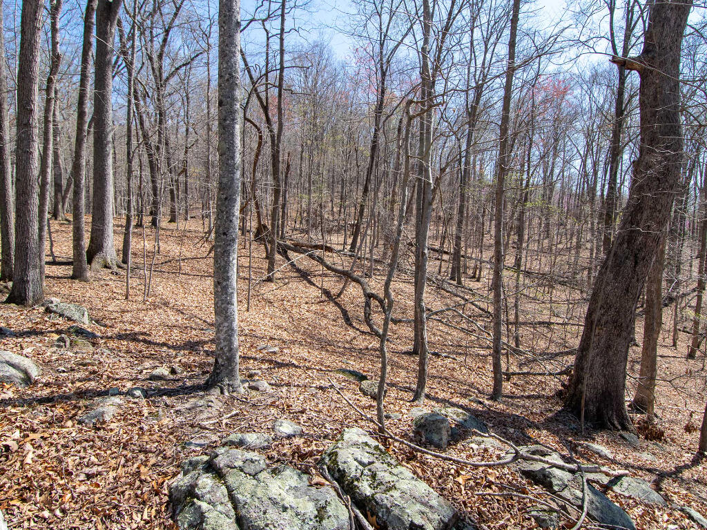 Lot 9 Oak Dr, Moneta, Virginia image 19