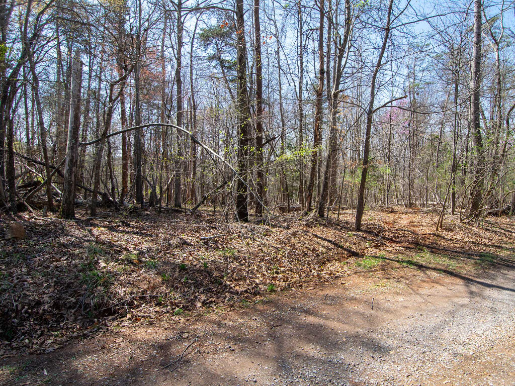 Lot 9 Oak Dr, Moneta, Virginia image 9