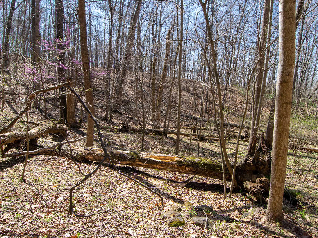 Lot 9 Oak Dr, Moneta, Virginia image 17