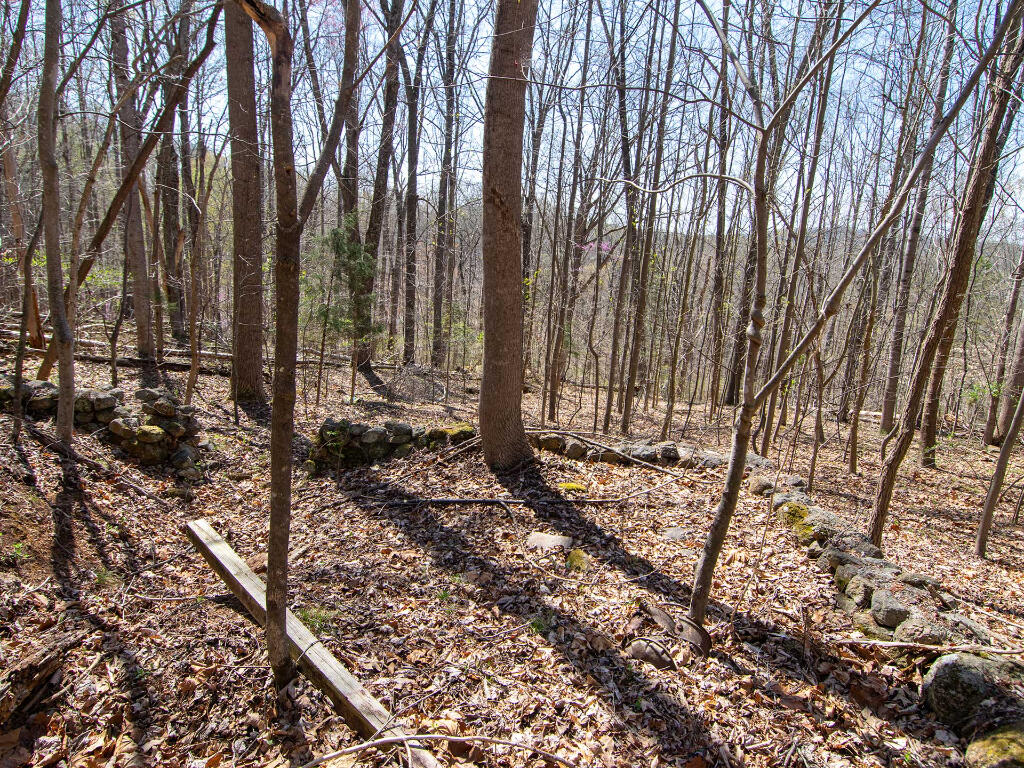 Lot 9 Oak Dr, Moneta, Virginia image 11