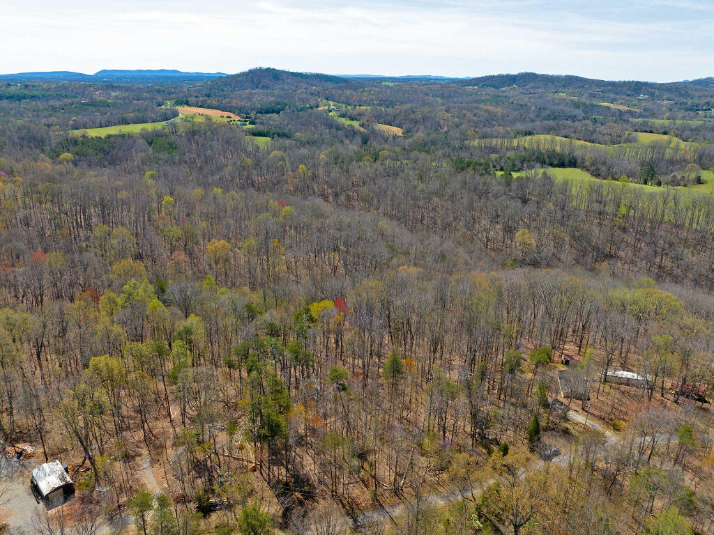 Lot 9 Oak Dr, Moneta, Virginia image 3