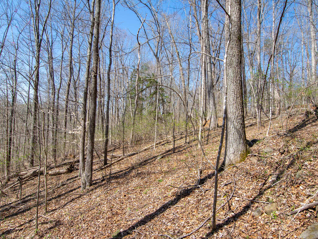 Lot 9 Oak Dr, Moneta, Virginia image 16