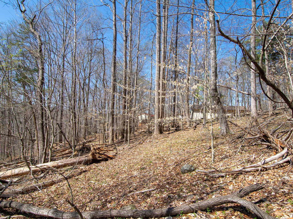 Lot 9 Oak Dr, Moneta, Virginia image 15