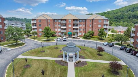 Condo For Sale - 4444 Pheasant Ridge Rd #404<br/> Roanoke, VA 24014