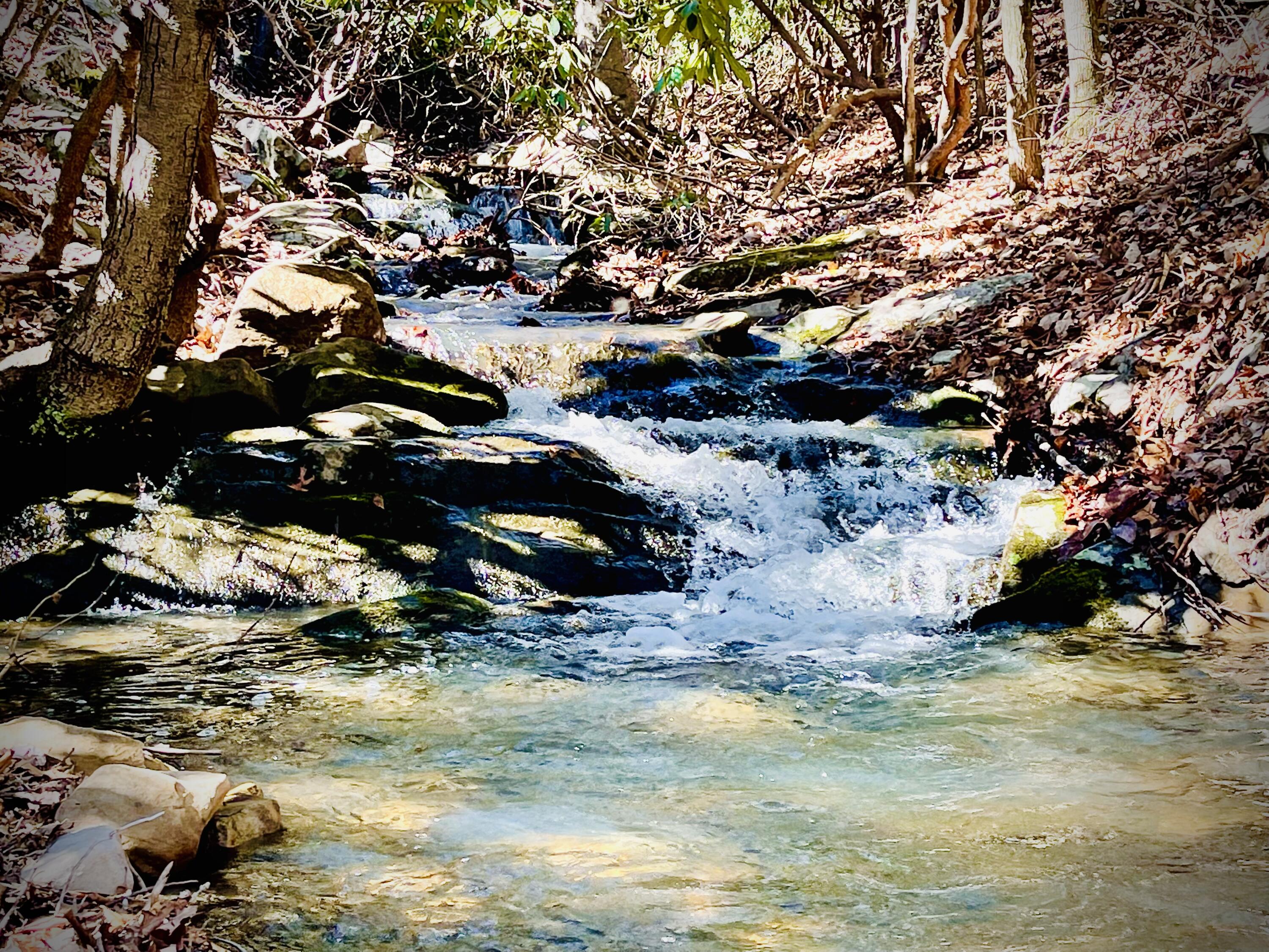 Robinson Tract Rd, Pulaski, Virginia image 19