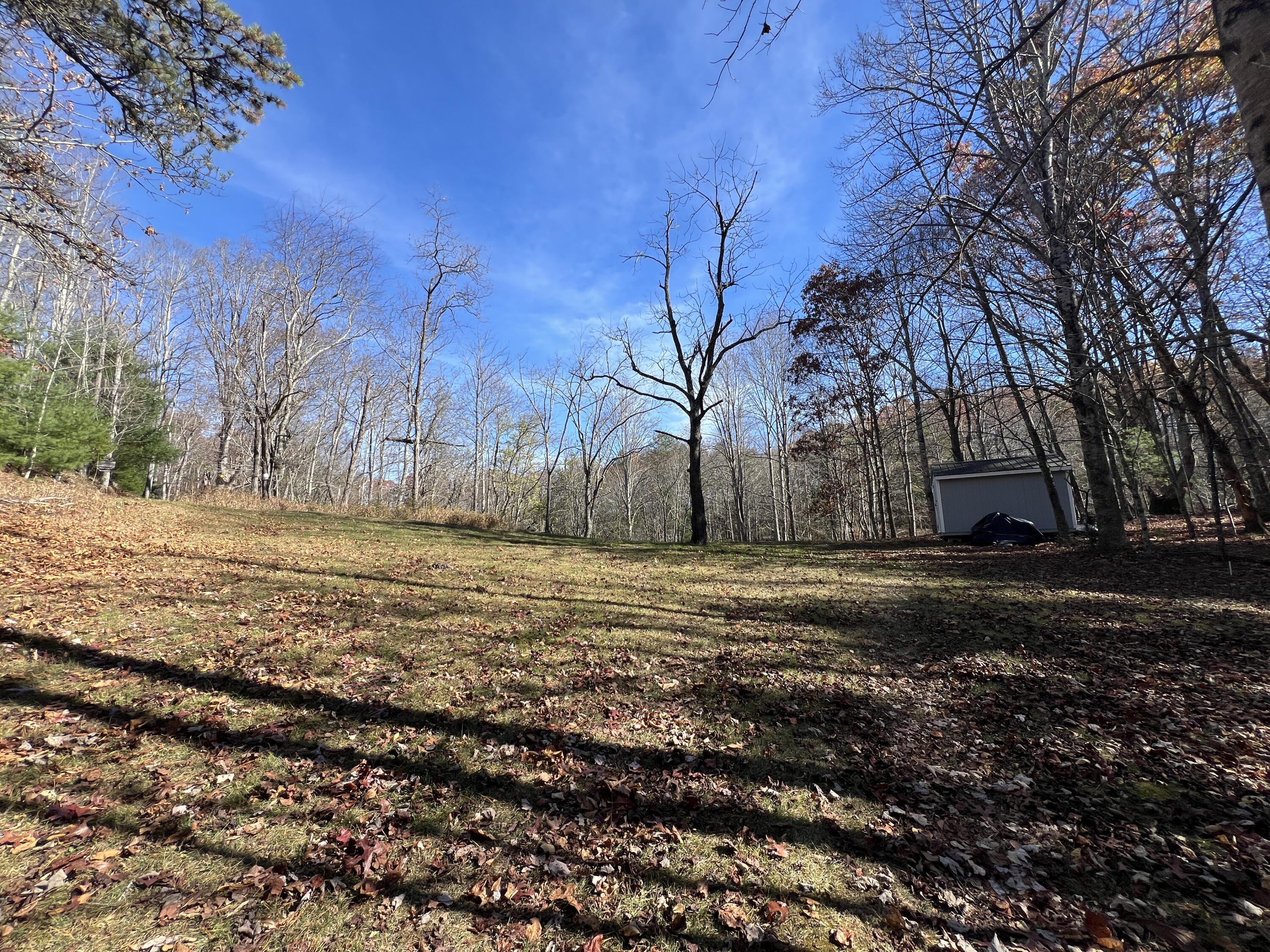 Robinson Tract Rd, Pulaski, Virginia image 22