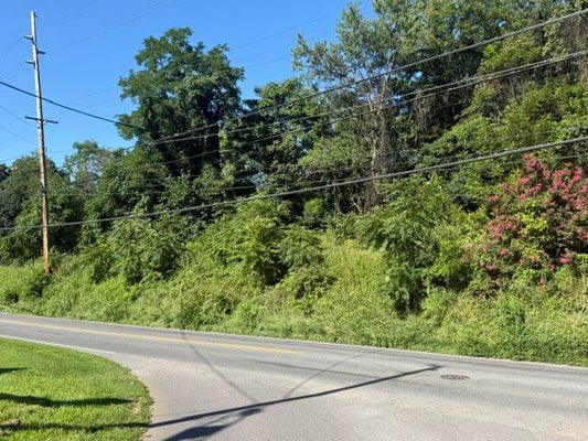 2220 HOLLINS RD NE, ROANOKE, VA 24012 - Image 325ce43bbb19ac3d4ebe0fc0084320e2/3016757257