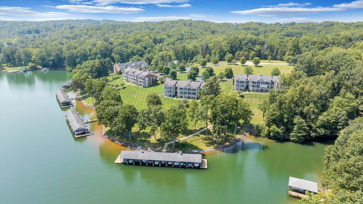 305 South Pointe Shore Dr, Moneta, Virginia image 46