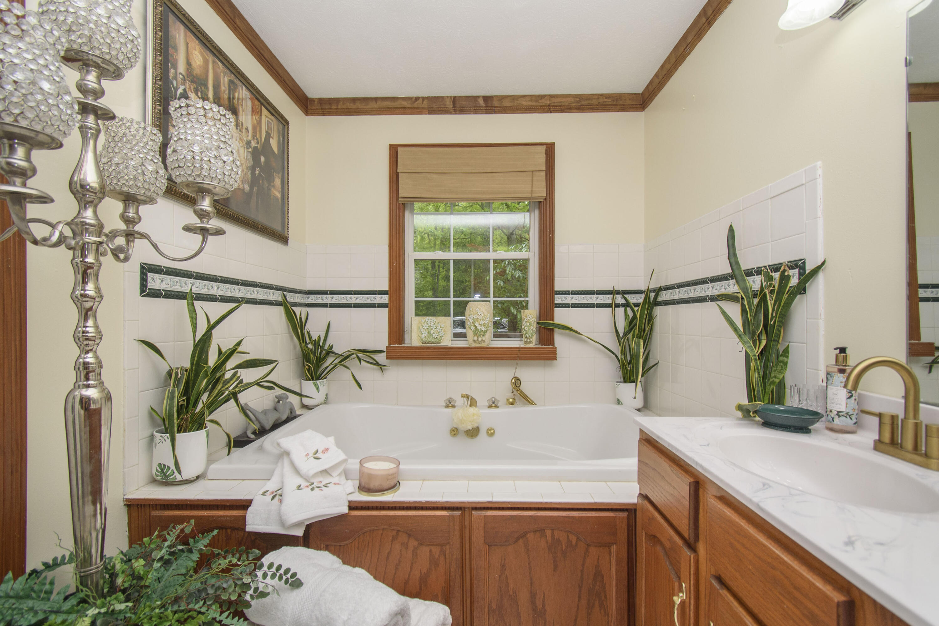 157 Burks Hollow Rd, Willis, Ohio image 38