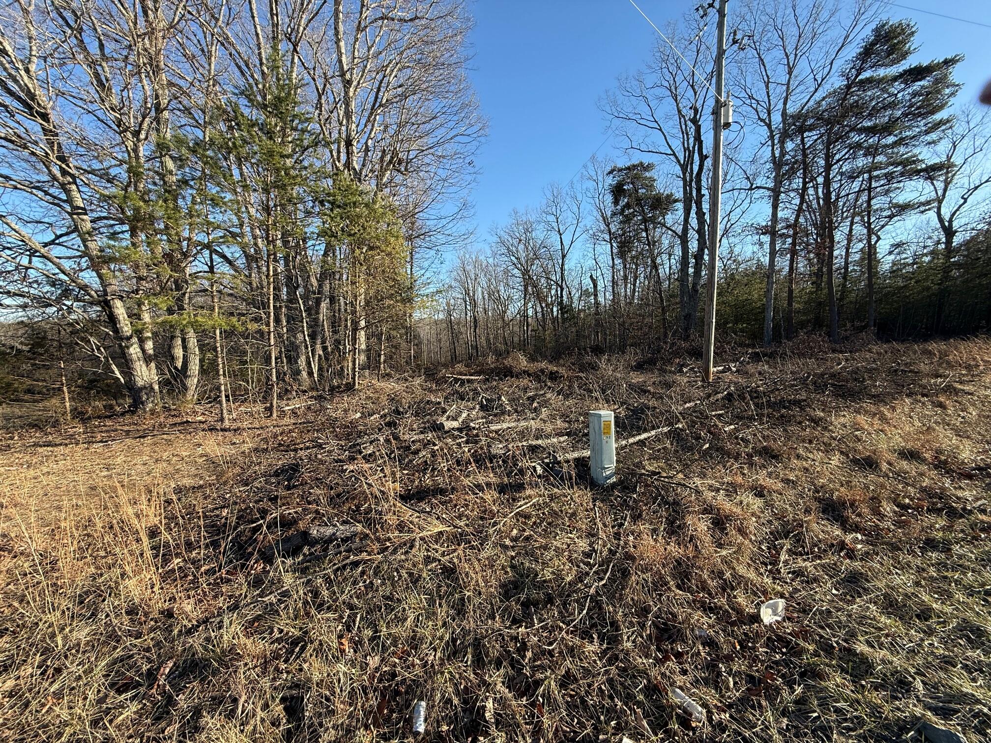 Lot 2 Lovely Valley Rd, Wirtz, Virginia image 3