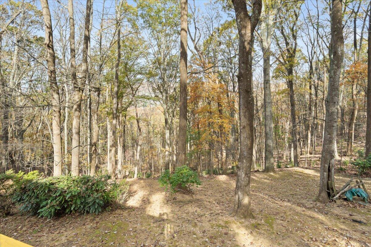 1127 Deer Run Dr, Vinton, Virginia image 34