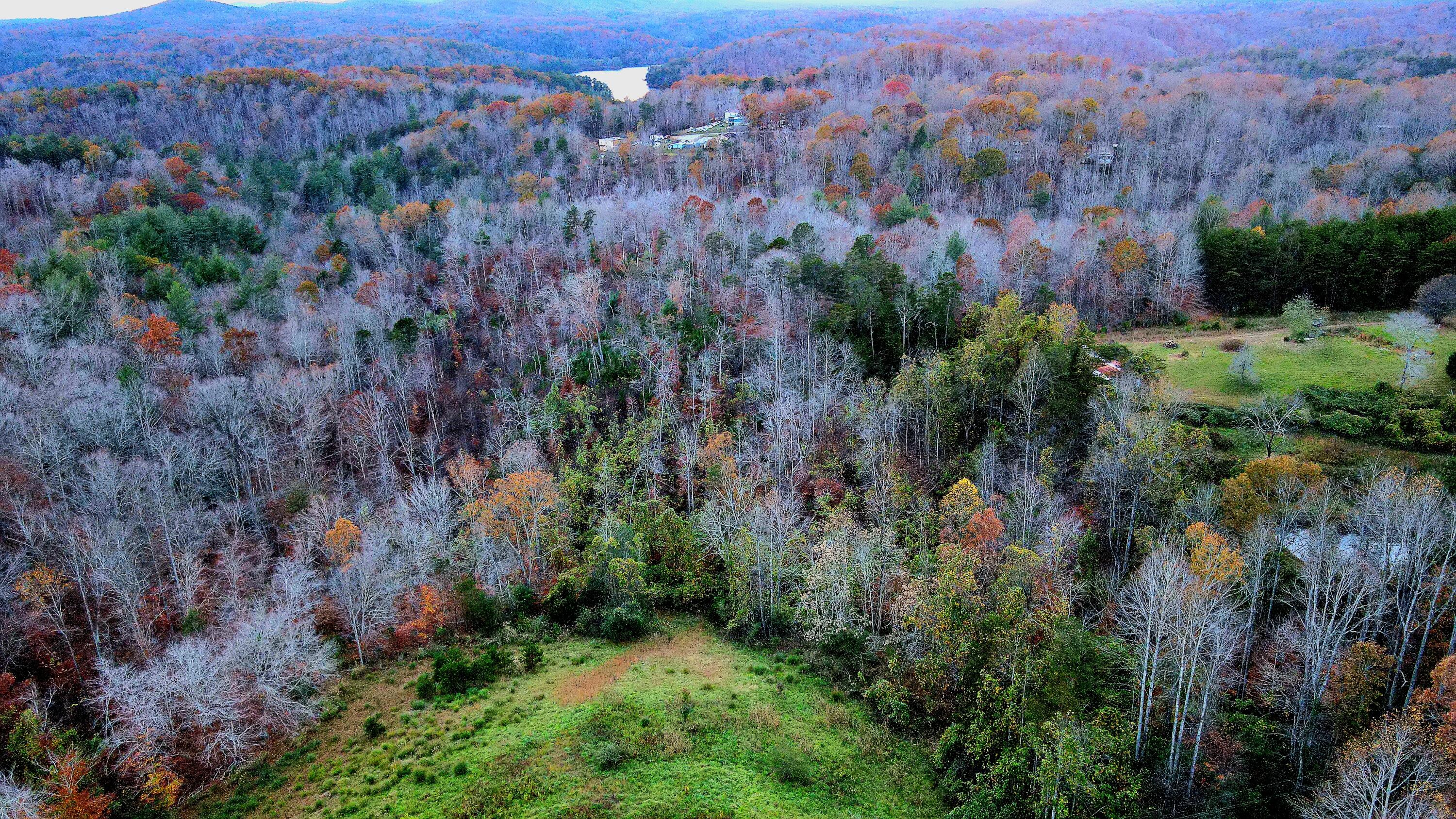 970 Knob Church Rd Rd, Henry, Virginia image 3