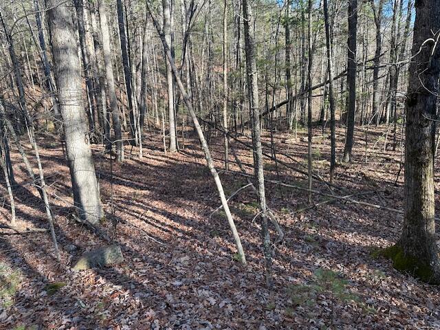 00 Hoot Owl Rd, New Castle, Virginia image 3