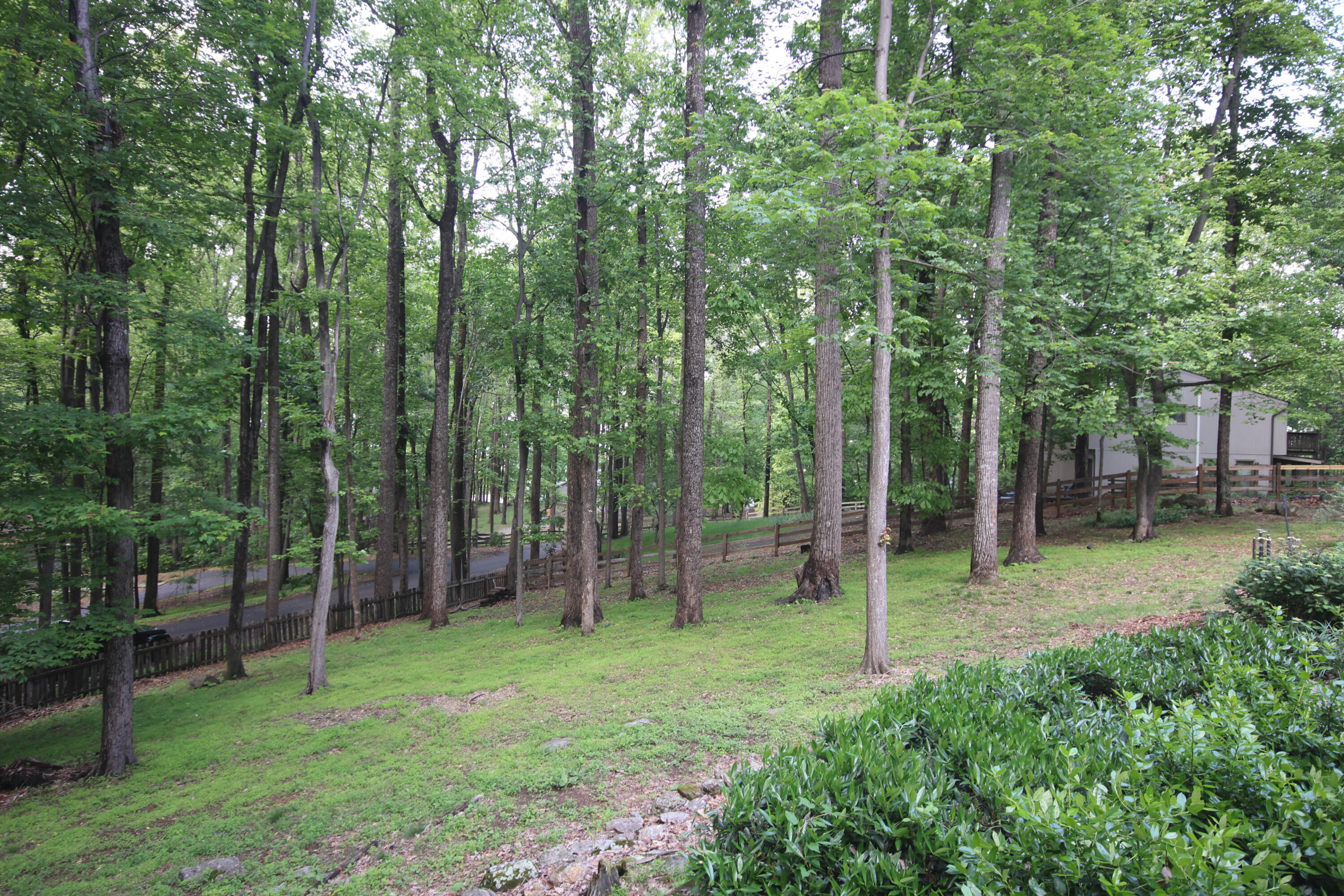 6898 Sugar Rum Ridge Rd, Roanoke, Virginia image 45