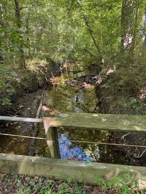 Vacant Land For Sale - Rawlsdale Rd<br/> Courtland, VA 23837
