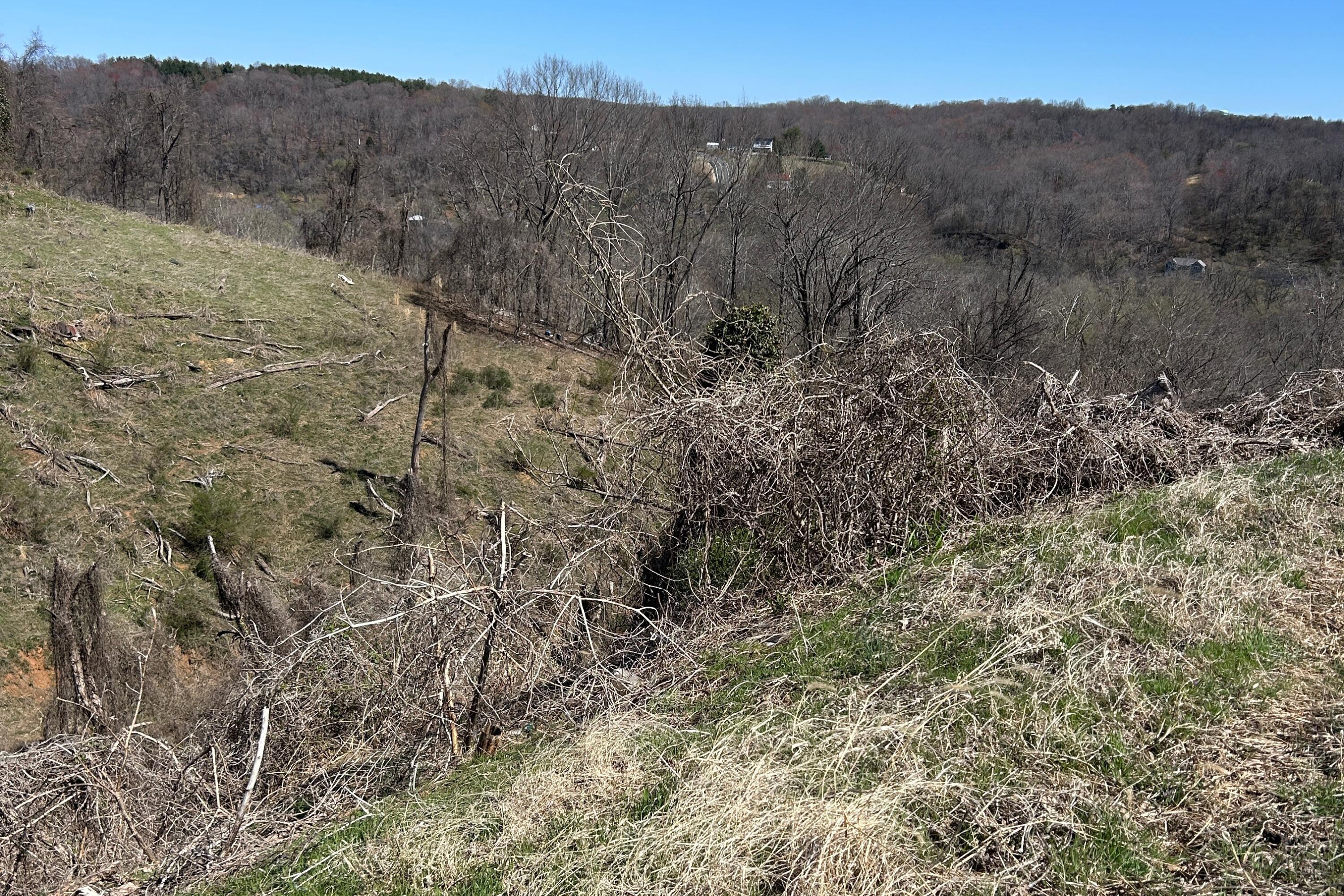 115 I St, Lynchburg, Virginia image 3