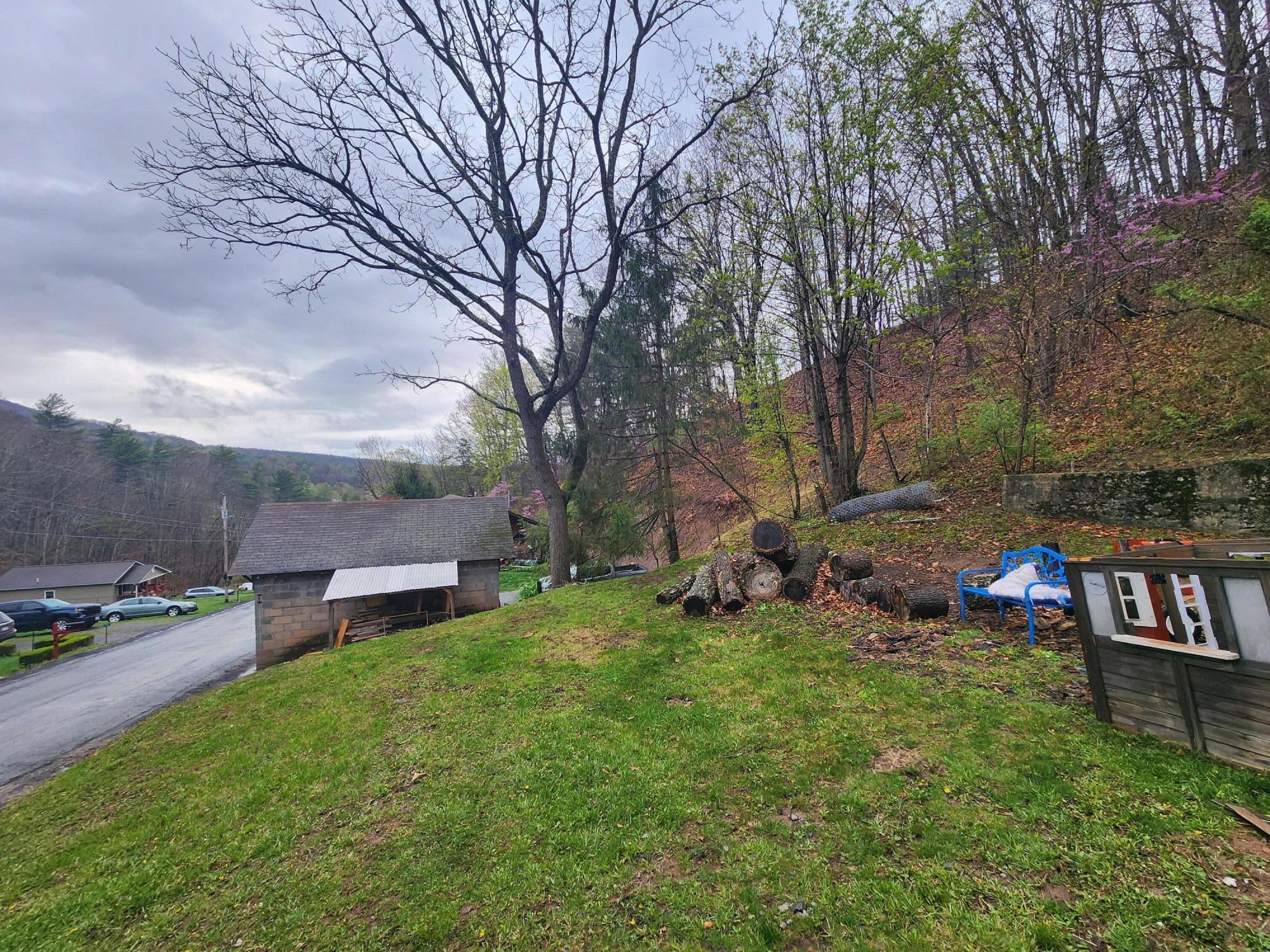 309 Thomastown Rd, Hot Springs, Virginia image 33
