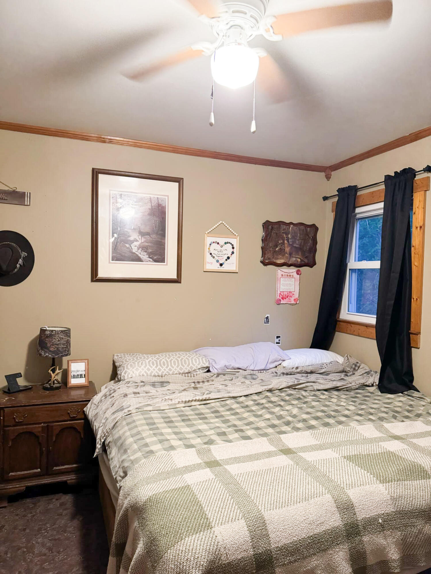 309 Thomastown Rd, Hot Springs, Virginia image 24