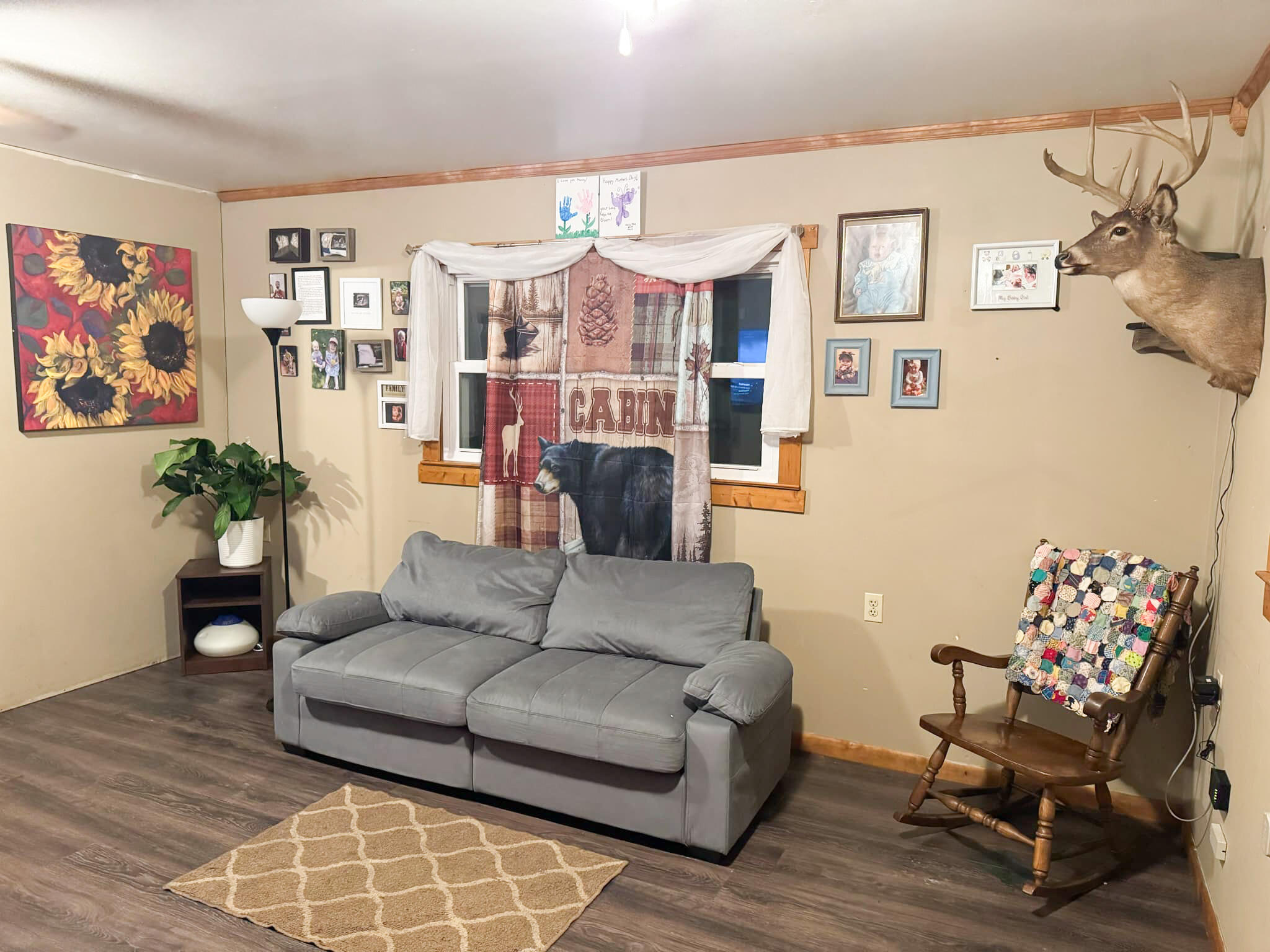 309 Thomastown Rd, Hot Springs, Virginia image 7