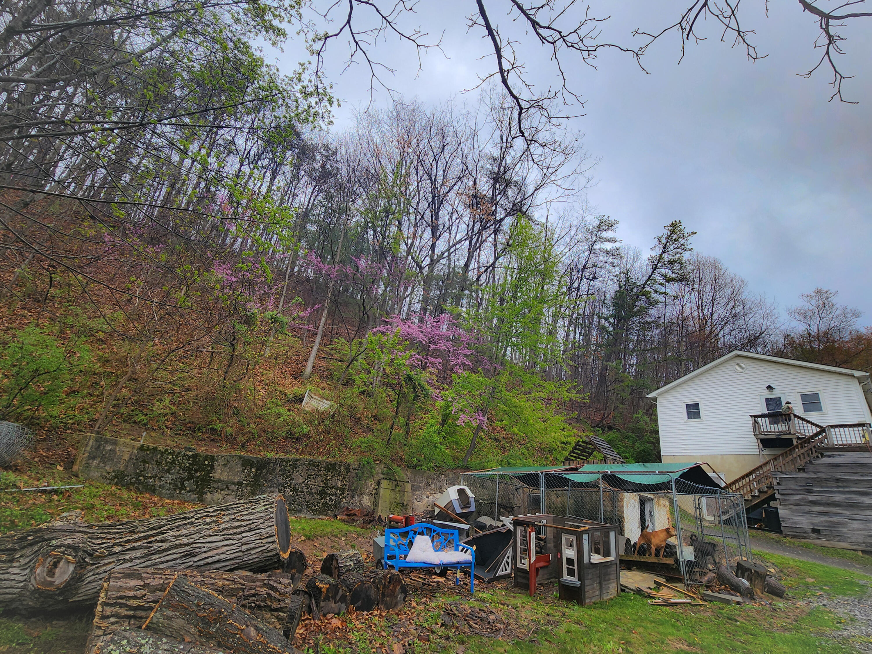 309 Thomastown Rd, Hot Springs, Virginia image 28