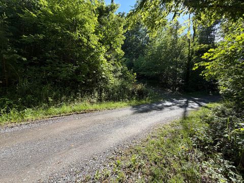 Vacant Land For Sale - Lake Rd<br/> Troutville, VA 24175