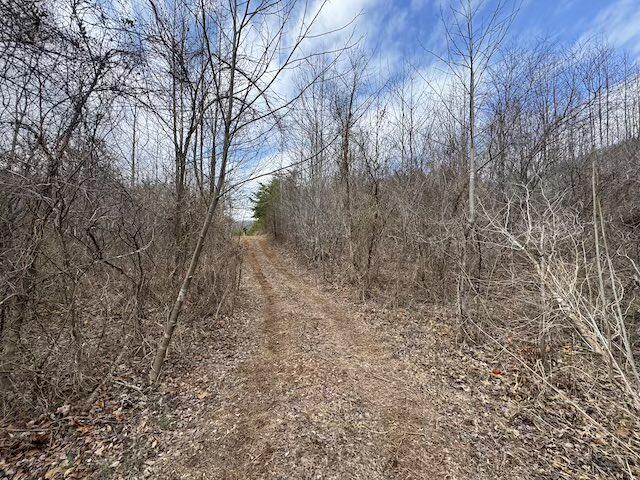 TBD Brammer Spur Rd, Woolwine, Virginia image 2