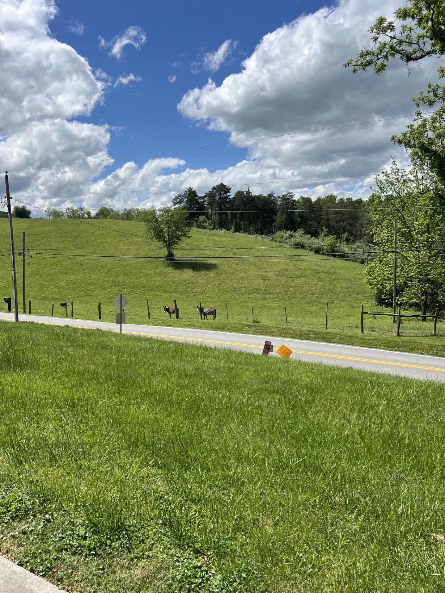 3928 Springwood Rd, Fincastle, Virginia image 4