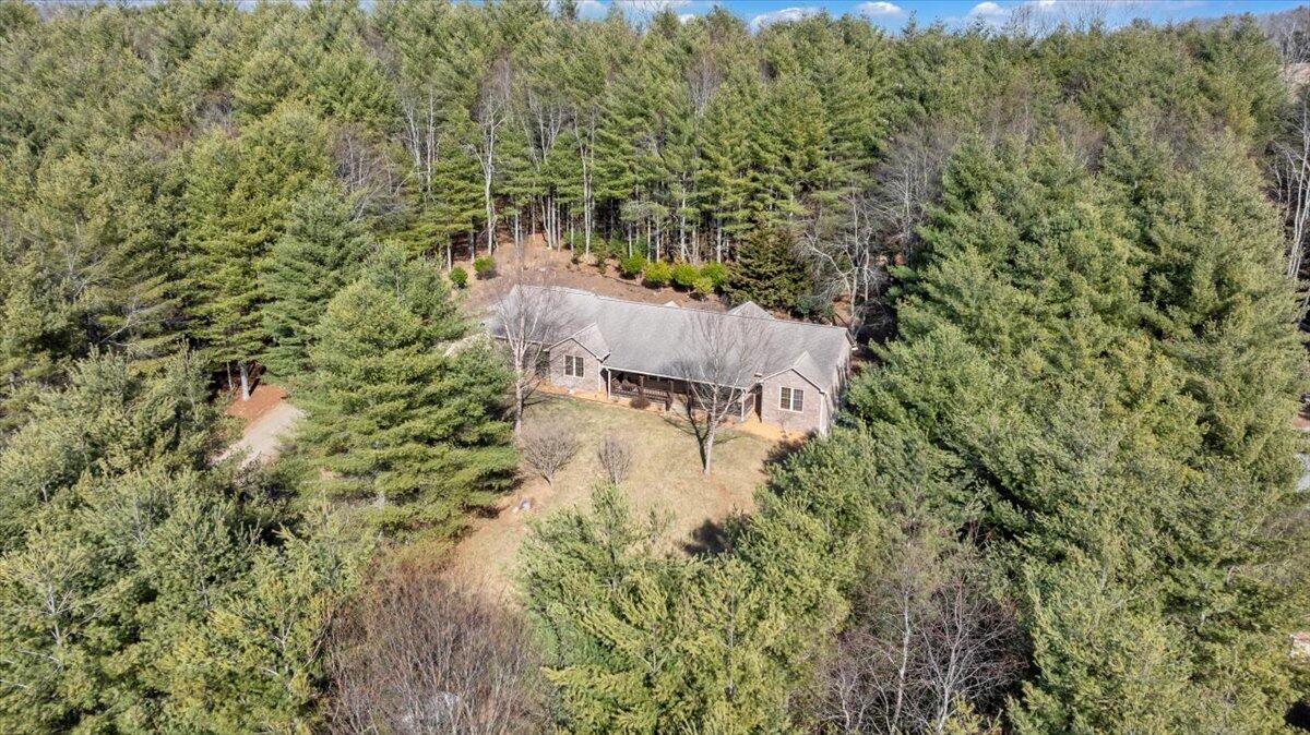 181 Borderline Rd, Willis, Virginia image 3