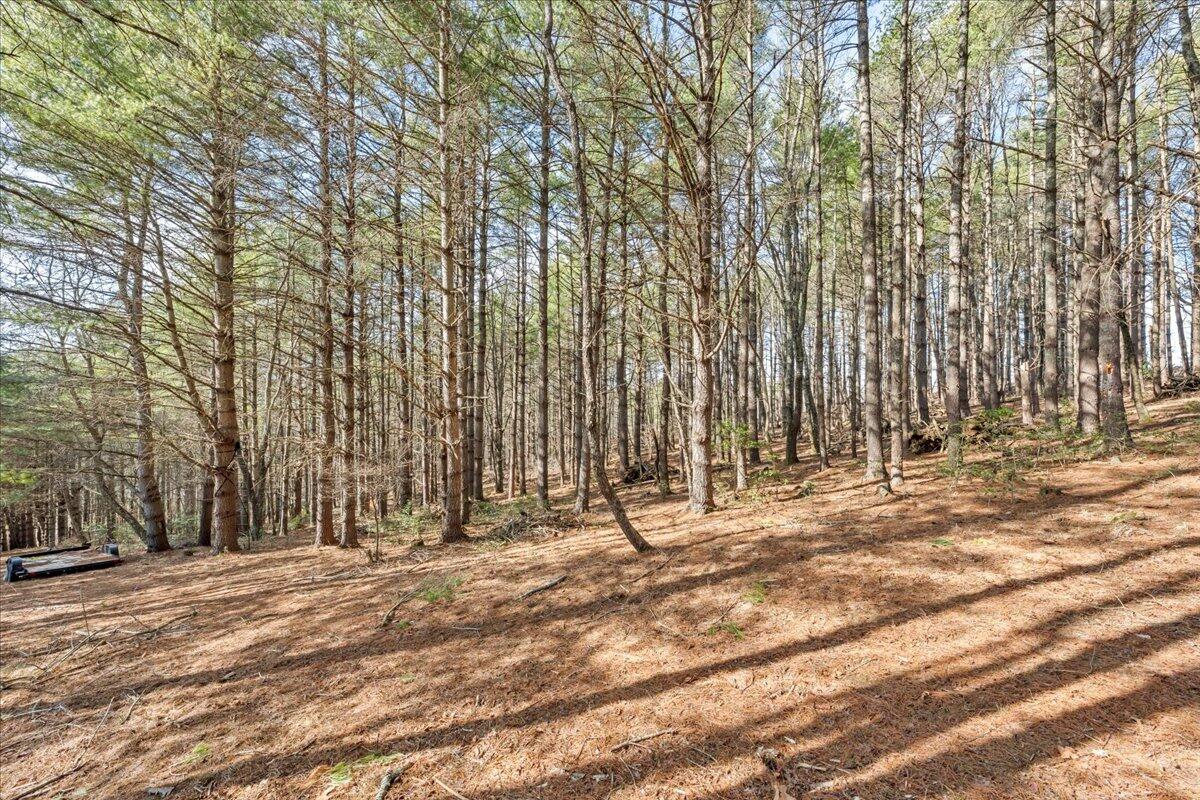 181 Borderline Rd, Willis, Virginia image 48