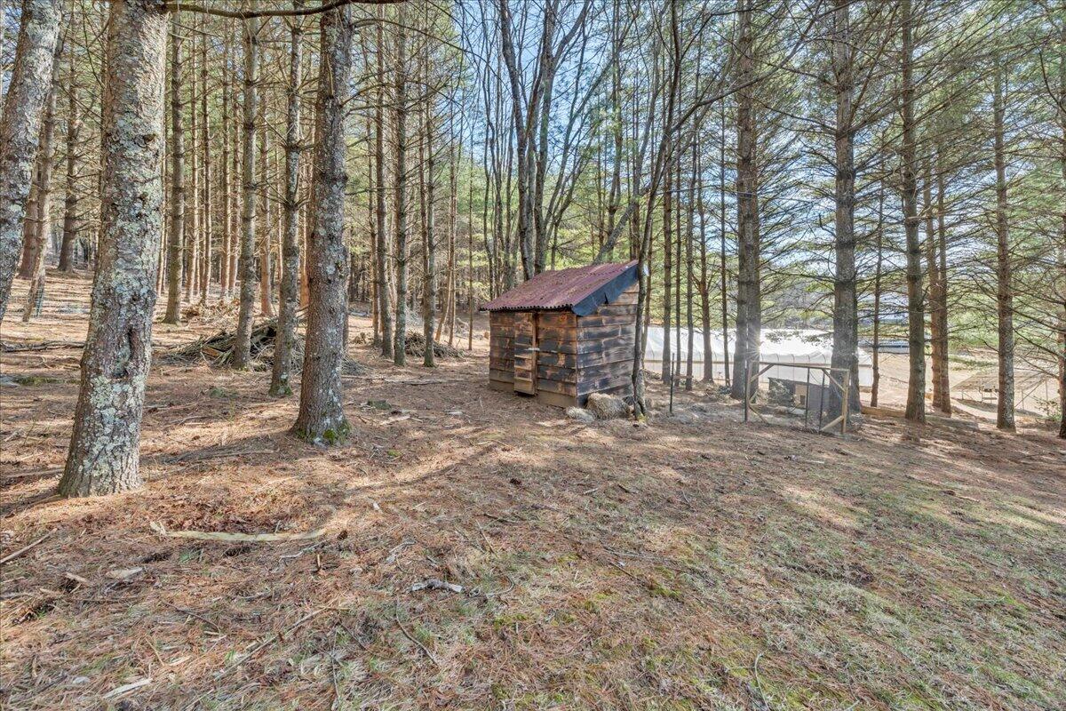 181 Borderline Rd, Willis, Virginia image 39