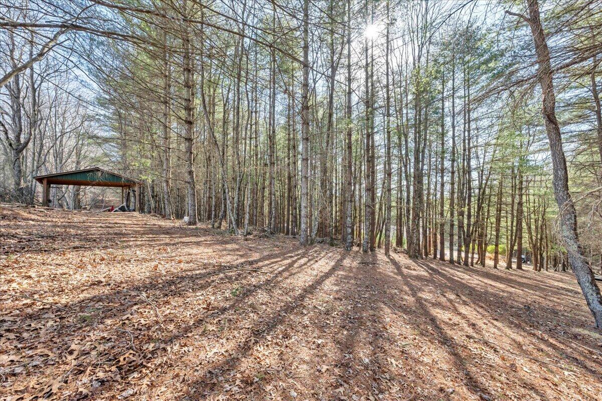 181 Borderline Rd, Willis, Virginia image 46