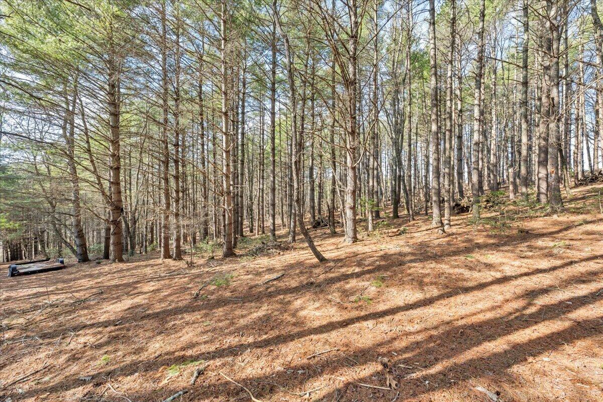 181 Borderline Rd, Willis, Virginia image 49