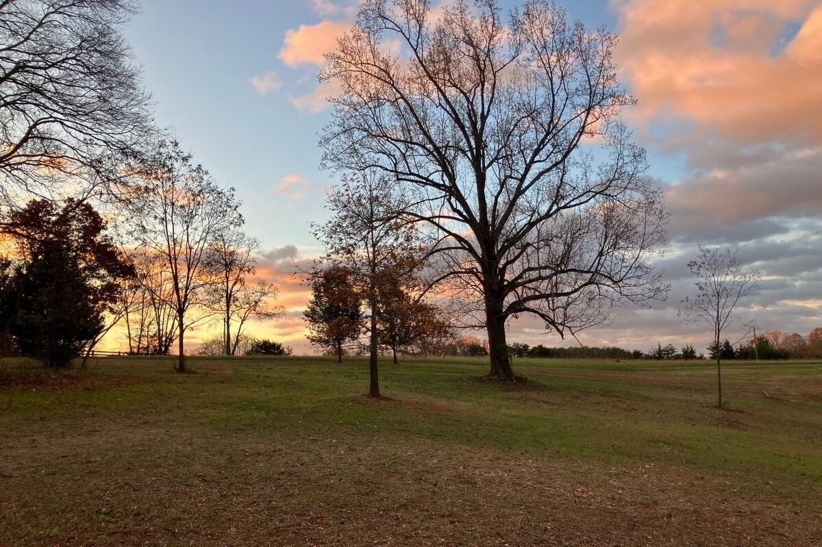 Magnolia Dr, Bedford, Virginia image 5